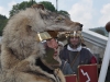 Keltenfest 2013 - St. Georgen im Attergau