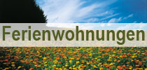 fewo