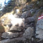 Aufstieg Schoberstein mit Hunden problemlos möglich