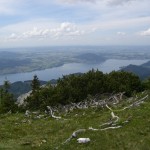 Hochlecken-Aufstieg - Blick auf den nördl. Attersee