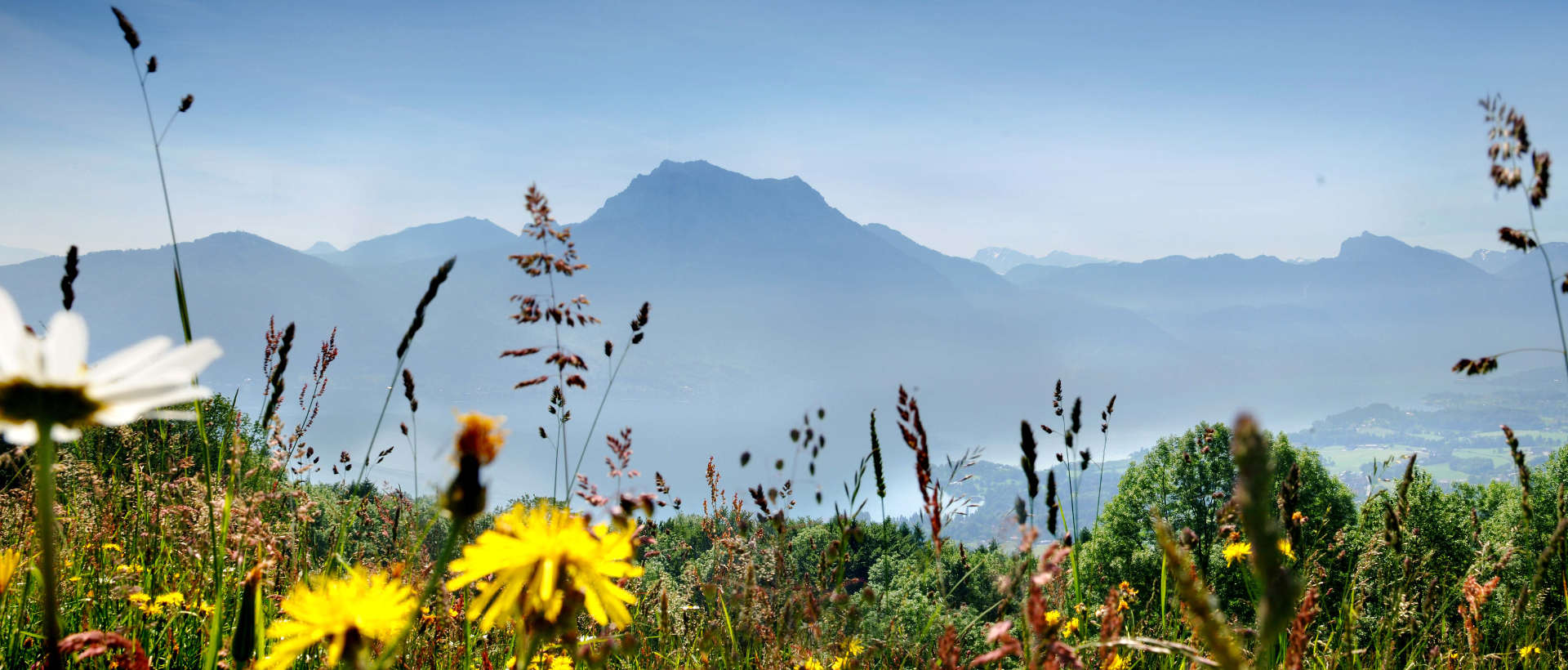 Traunstein © OÖ Tourismus / Roebl