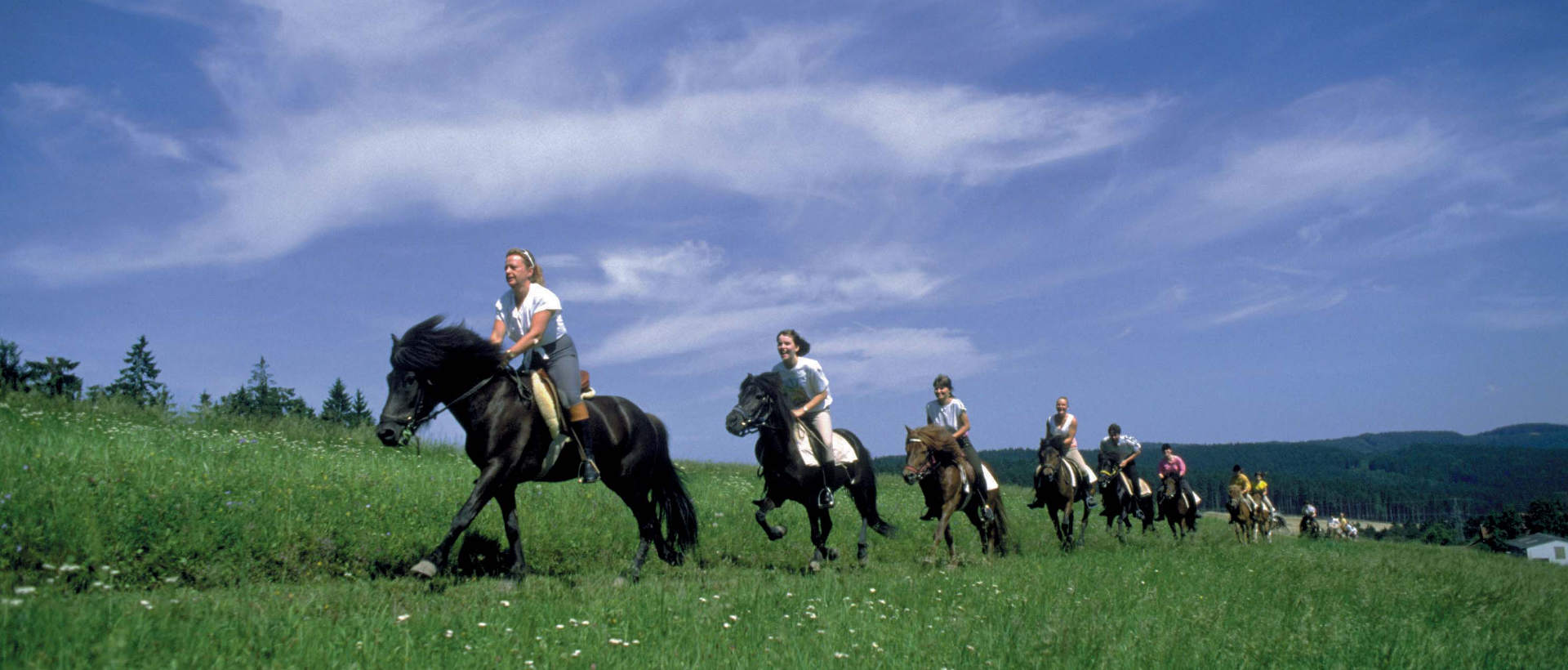 Reiten in Ampflwang © OÖ Tourismus / Schwager