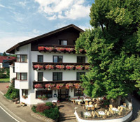 Grüner Baum